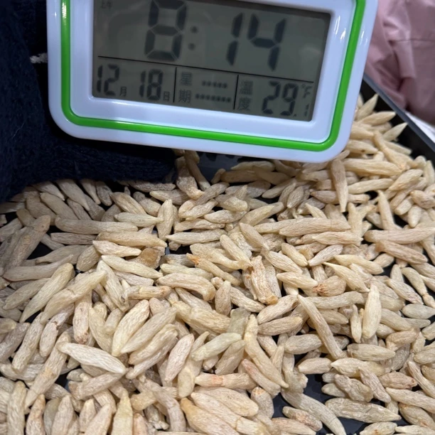 长白山农家滋补麦冬