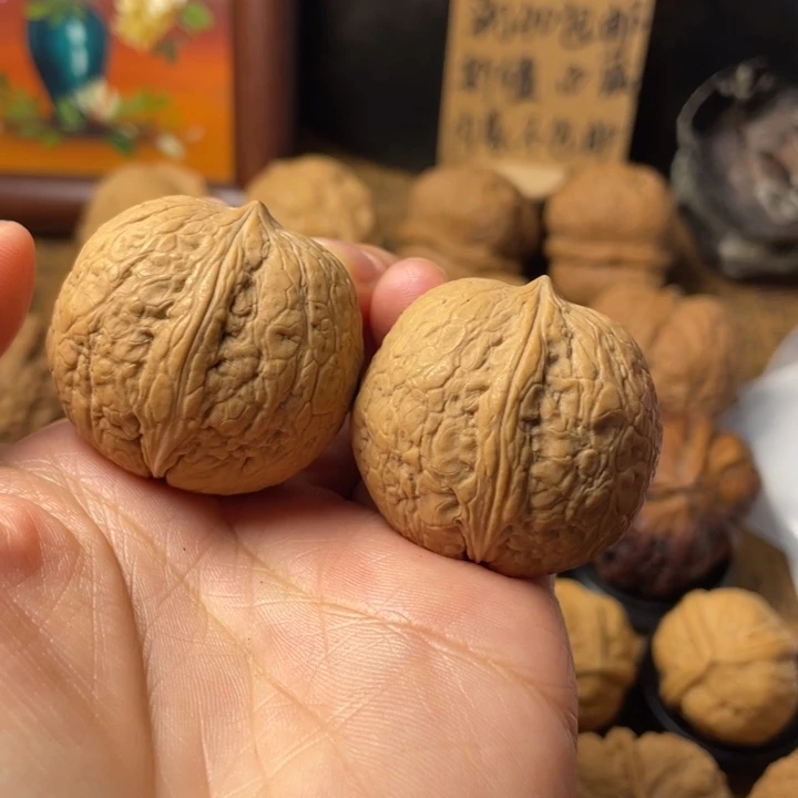 老***评云南野生铁核桃编号108