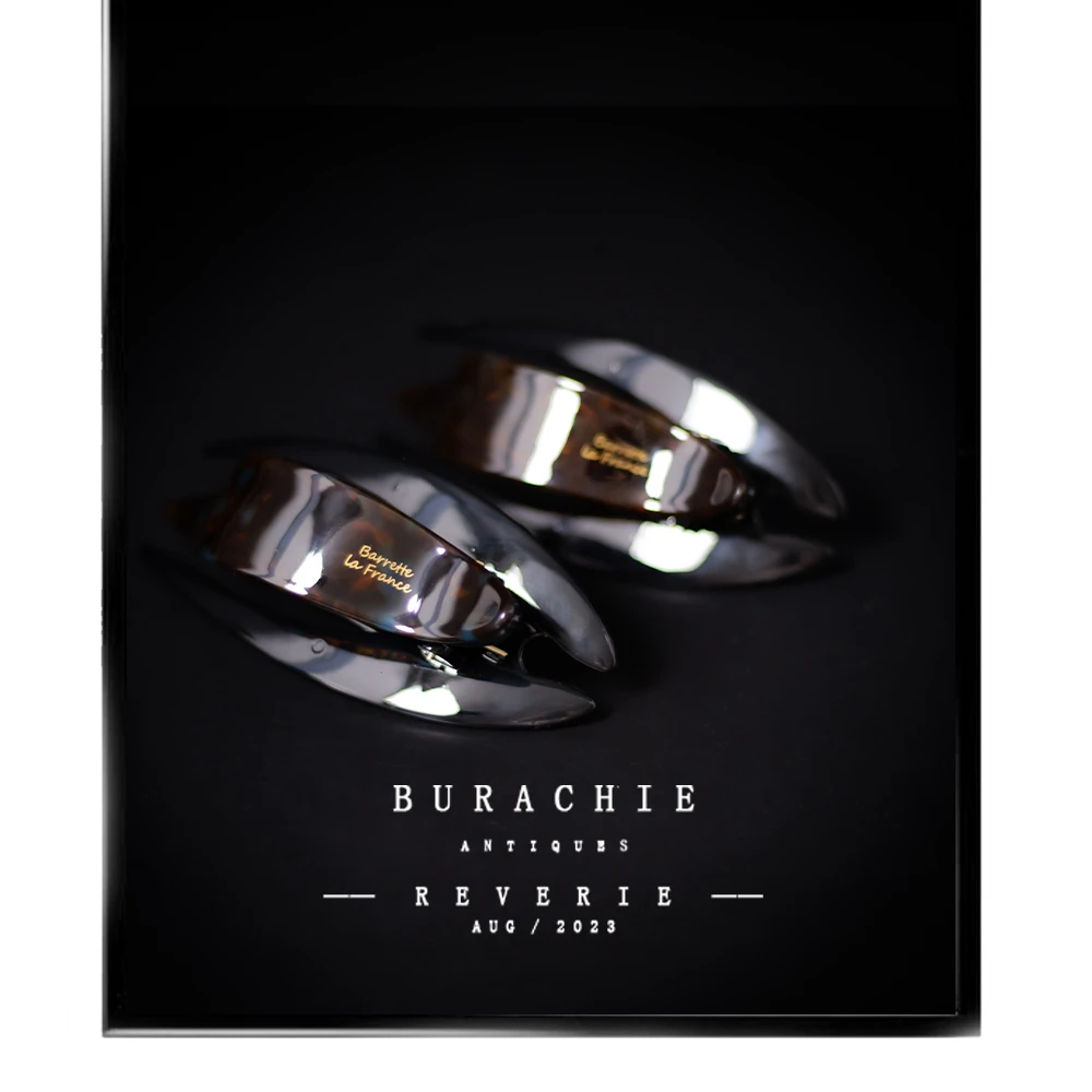 宋宋一直在用太美了意| AlettmBrot | 色彩盎然的时髦精发夹【0.6】