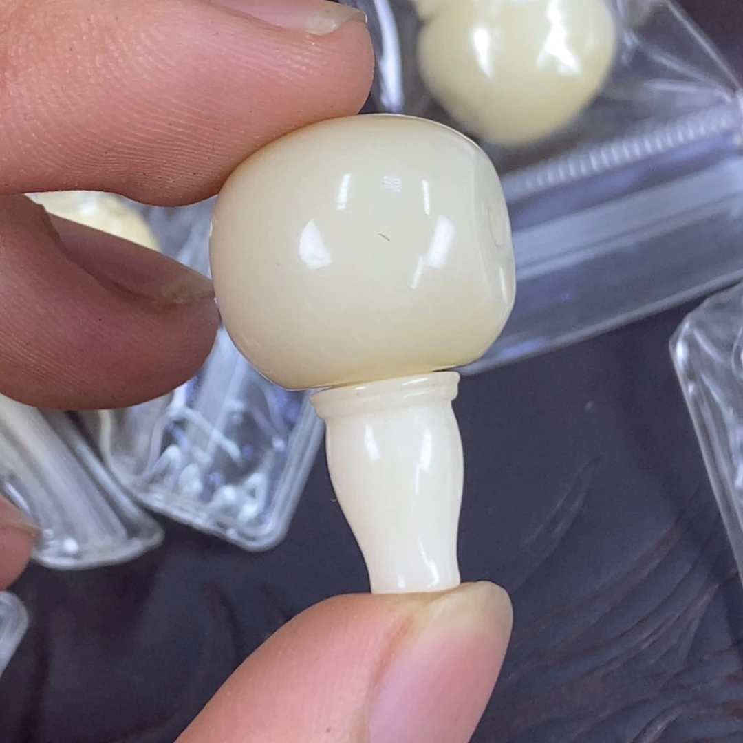 驼骨其他1.8尺寸,40