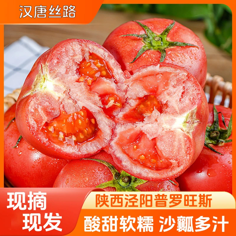 陕西泾阳普罗旺斯孕妇水果当季沙瓤西红柿自然熟新鲜生吃番茄蔬菜