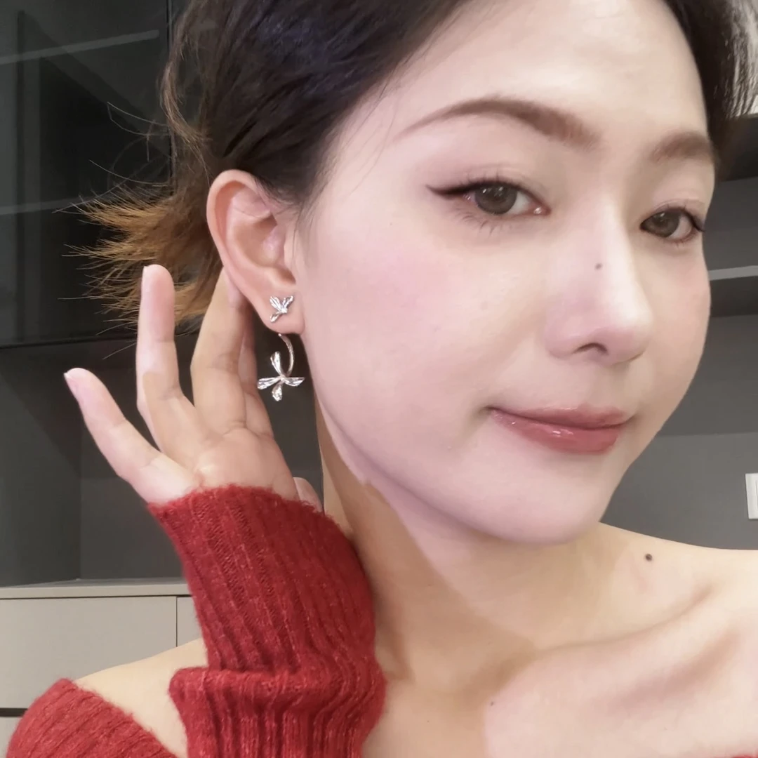 铜合金耳饰 耳钉明星同款饰品 耳饰2025爆款百搭ins风 双层鸢尾花