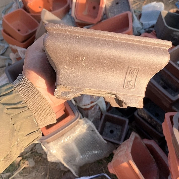 紫砂优秀青年科技创新科技