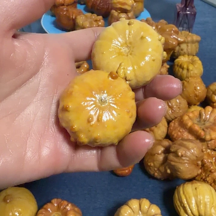 容***颜墨西哥七彩疙瘩葫芦