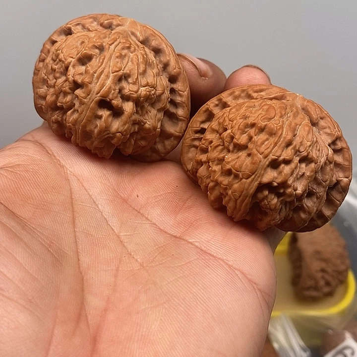 把件文玩核桃老树白狮子去年果50*47*38