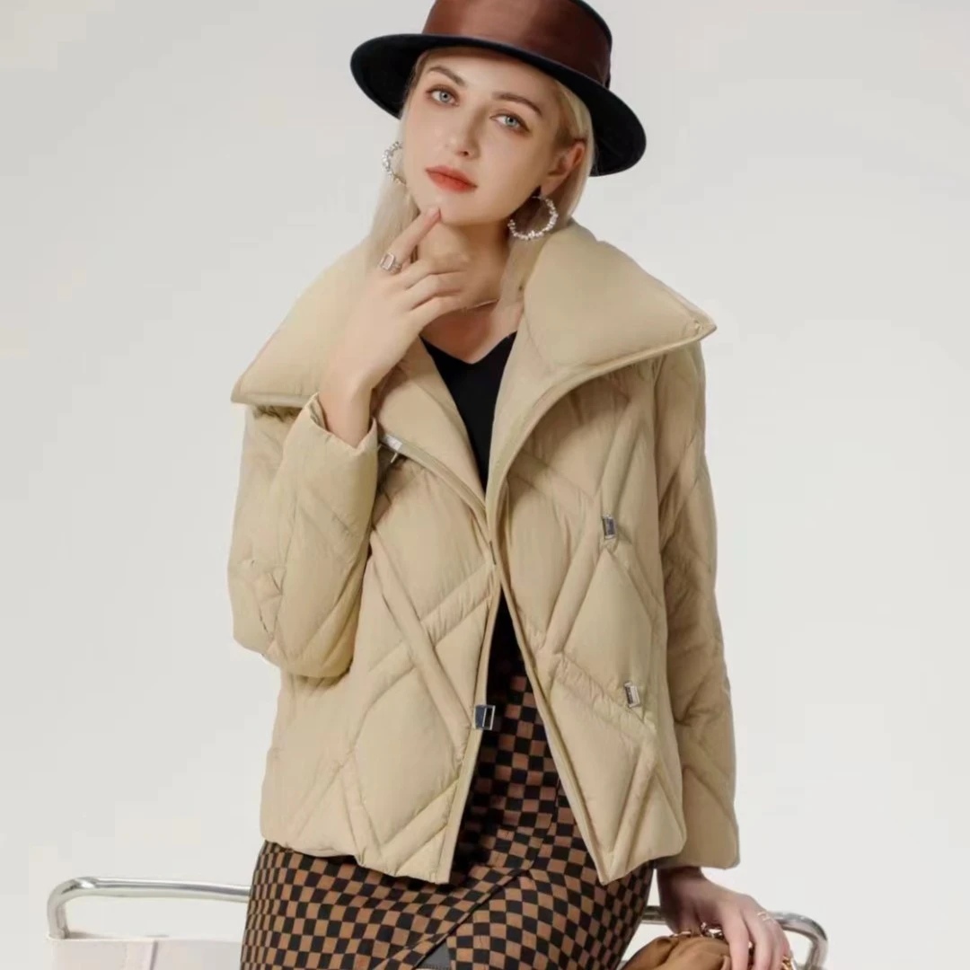 【钱老板专属】新款时尚休闲短款女百搭鹅绒服258260