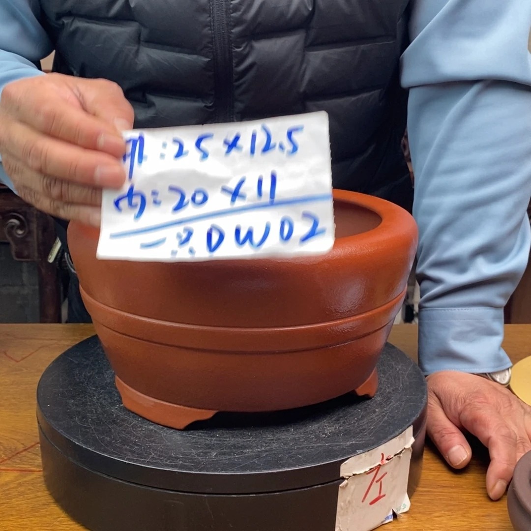 红陶货号一只DW02