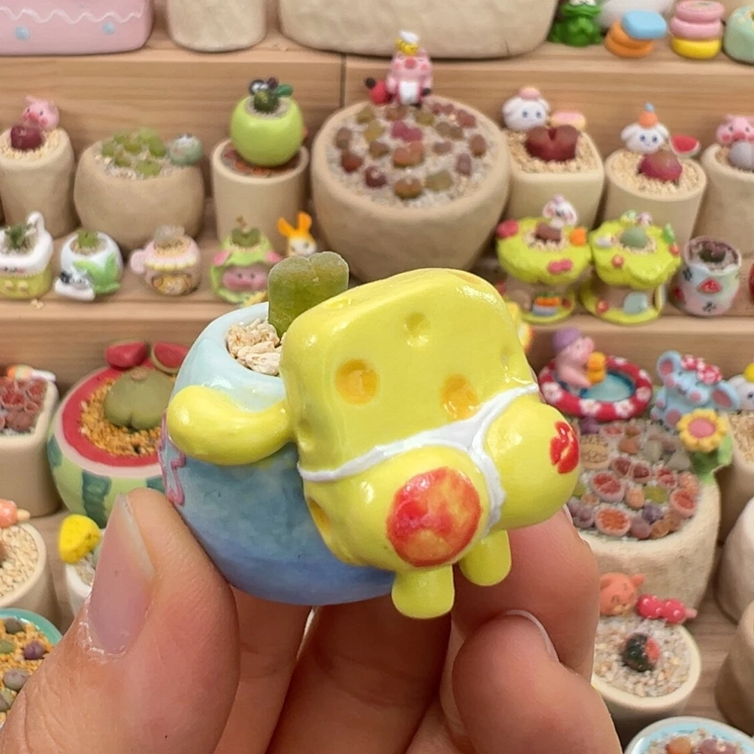 多肉植物47号拇指盆