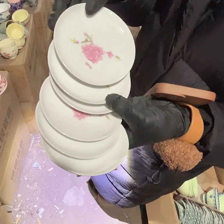 其他陶景德镇高温瓷6个