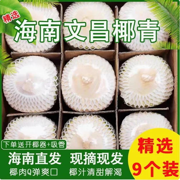 海南新鲜椰青文昌椰青9个装天然清香椰子现摘现发孕妈妈首选饮品