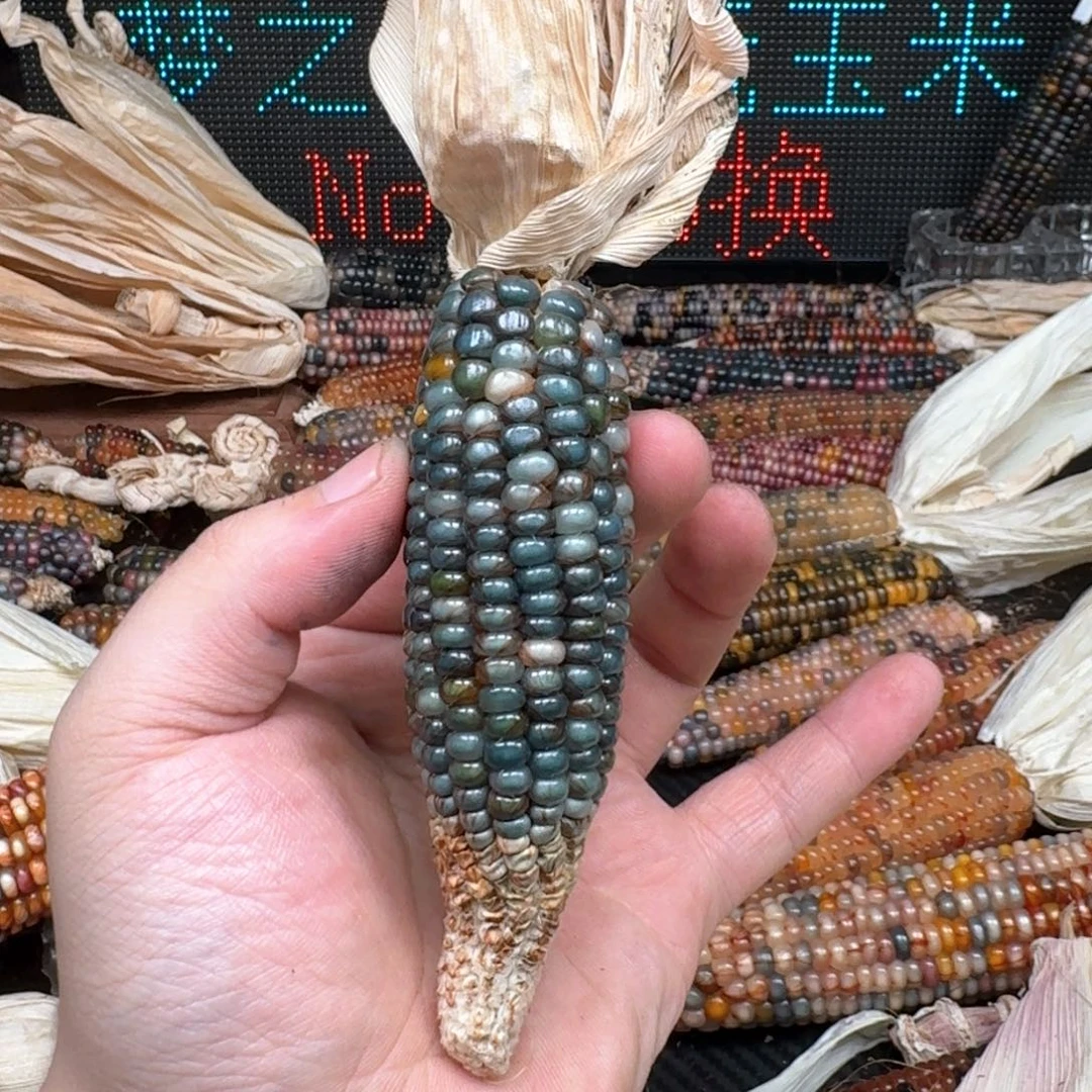 柏香籽/百香籽吊坠用****3