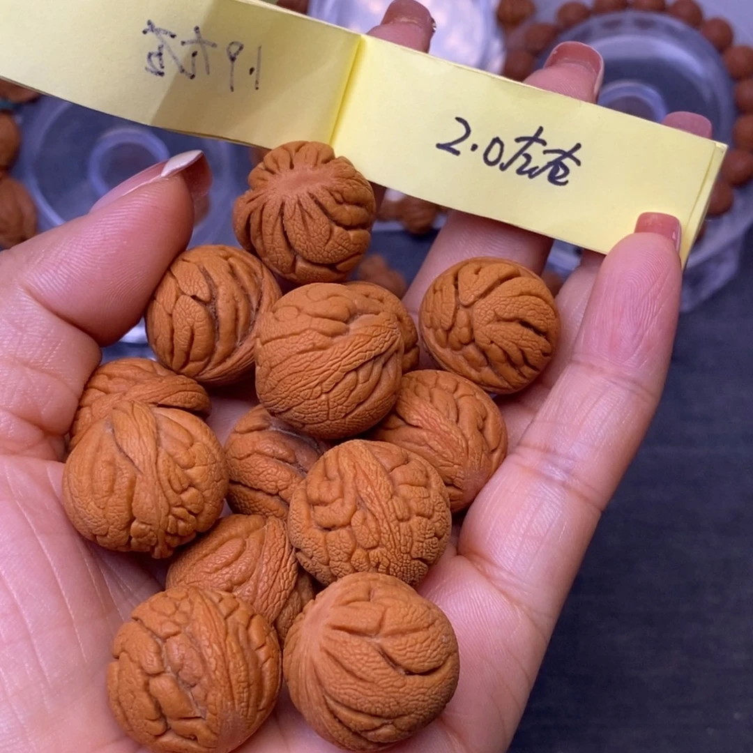 秦岭龙纹桃核手串13颗