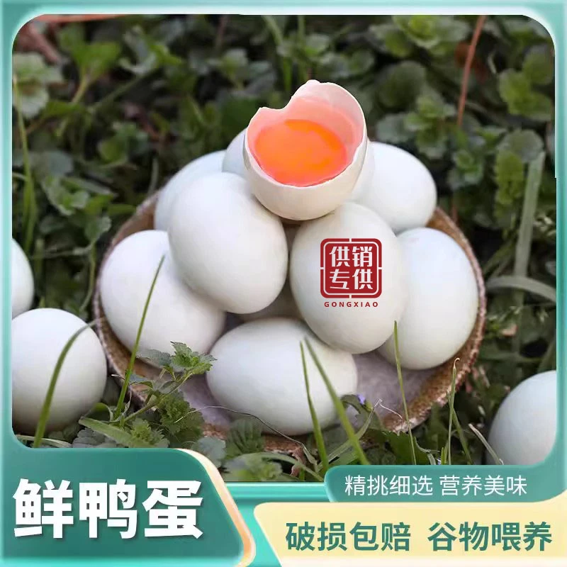 供销特大新鲜散养土鸭蛋稻田溪水放养包谷玉米喂养可腌蛋营养丰富