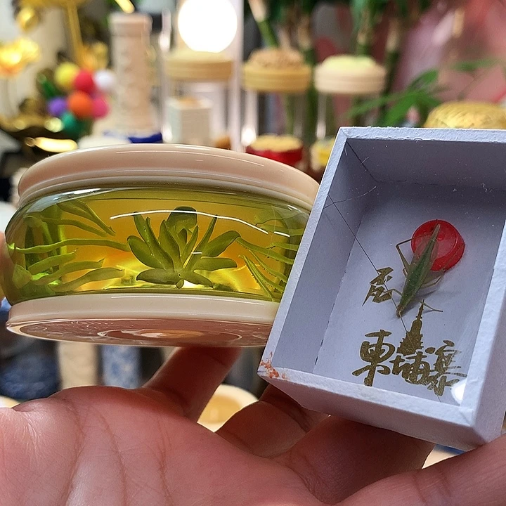 震***哥带柬埔寨竹蛉啊啊啊啊啊
