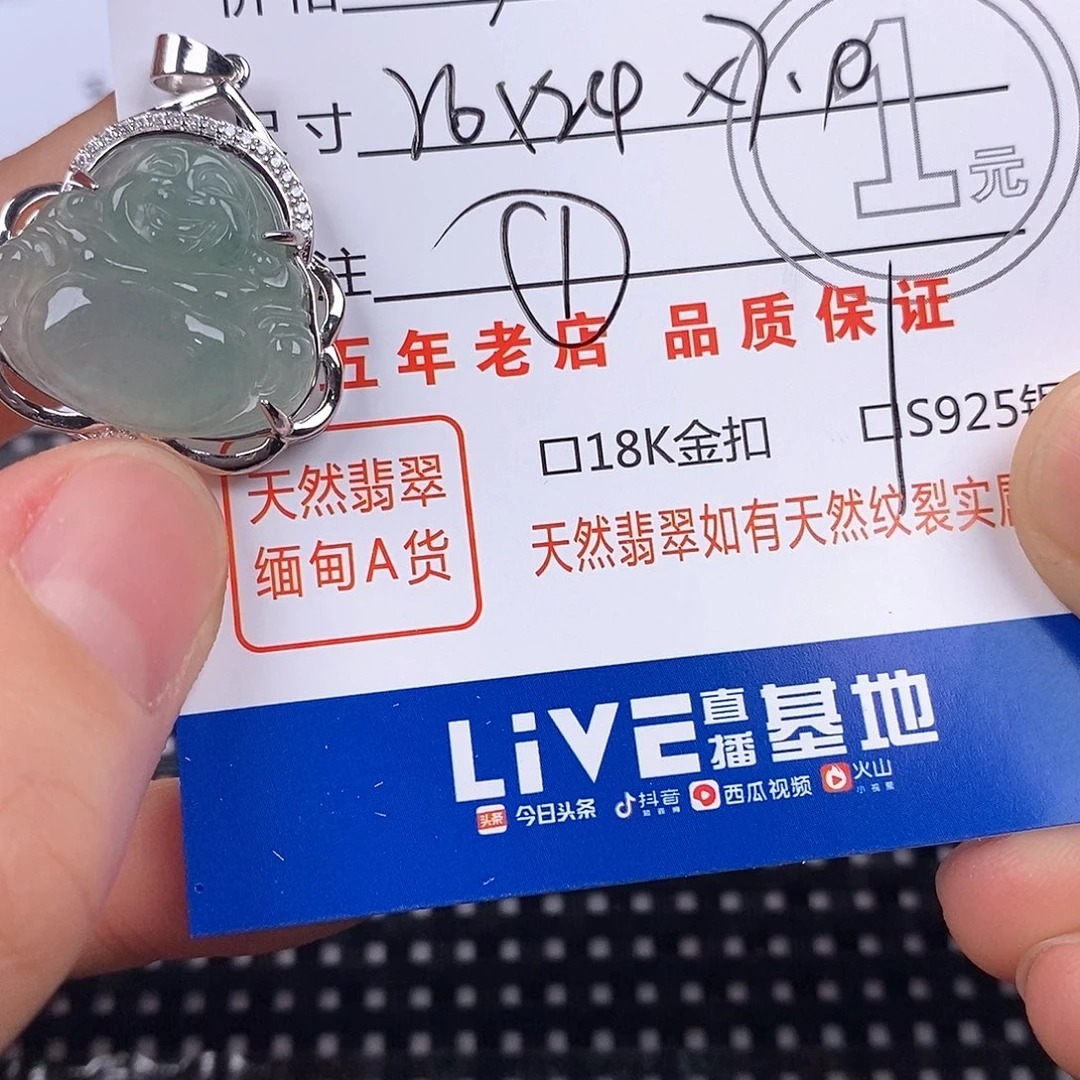 翡翠银S925镶嵌颈饰