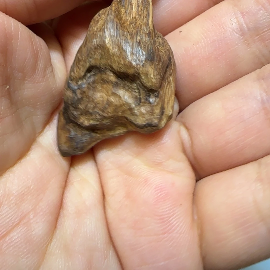 沉香碎屑沉香2.94克菩萨奇9分沉