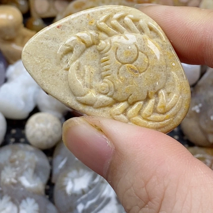 颈饰未镶嵌硅化珊瑚（珊瑚玉）