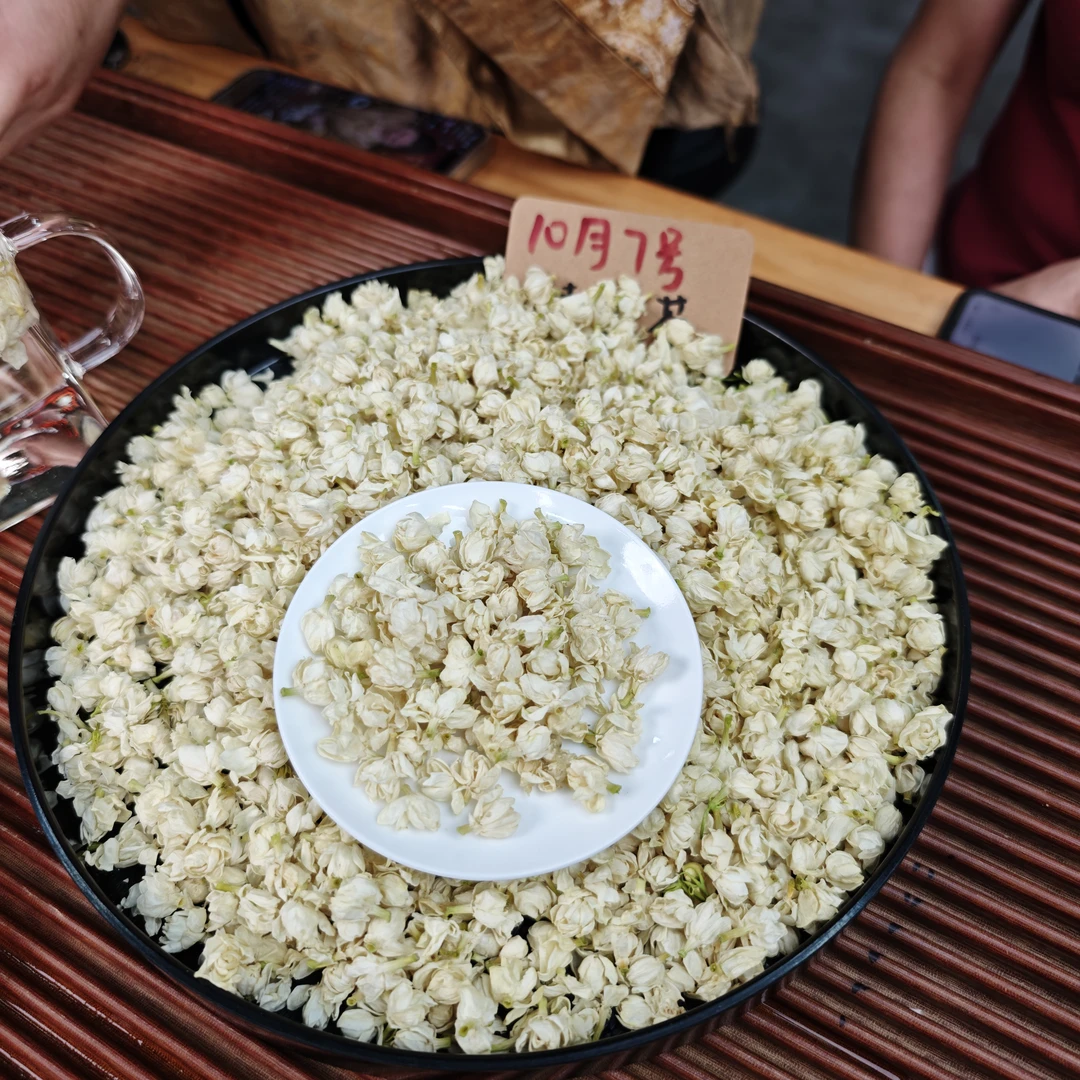 2025头茬茉莉雪球 鲜甜甘爽 广西横县双瓣茉莉 无梗无硫冬青收茶
