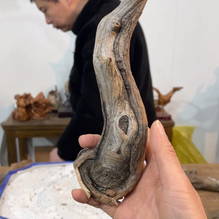 游**水我们都是好孩子呀