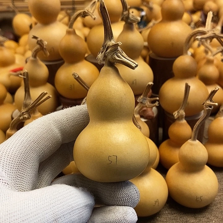 文玩葫芦 完美主义者 慎拍57