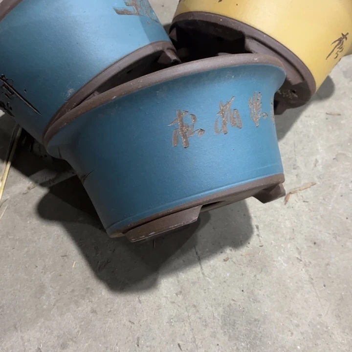 紫砂花盆50-3。     23-11