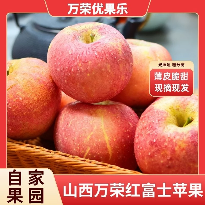 万荣红富士正宗冰糖心苹果现摘现发脆甜多汁产地直发