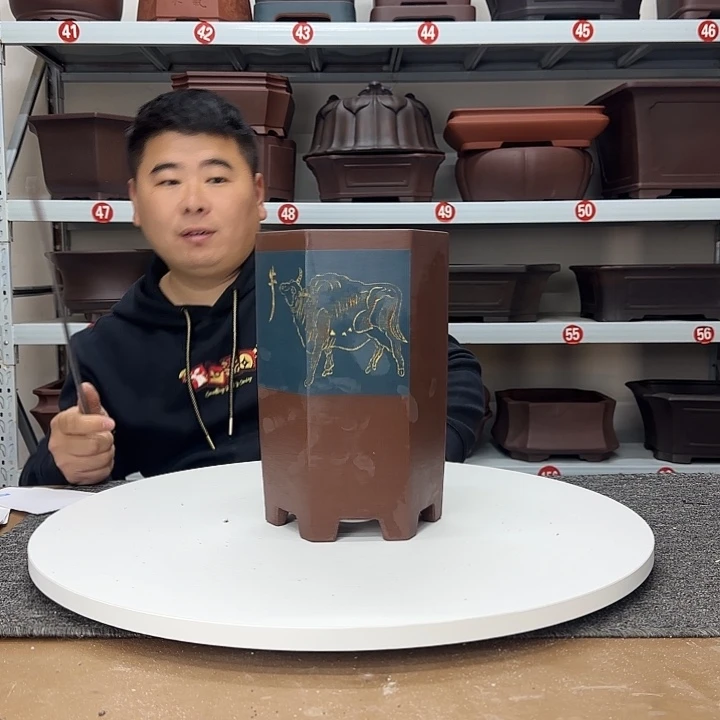 花盆紫砂这是什么