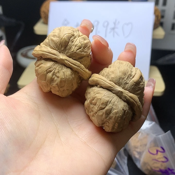 ꧔***࿐蛤蟆111111111111111