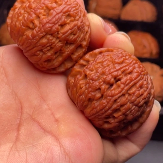 文玩核桃把件秦岭山脉核桃