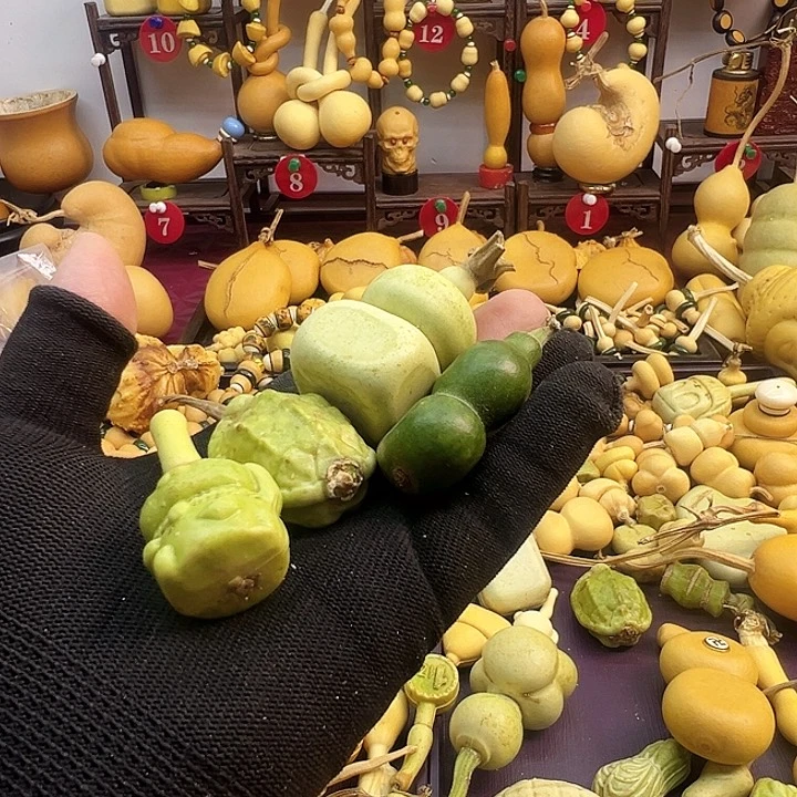 ༄****谢谢你的关心和支持和帮助哈哈哈