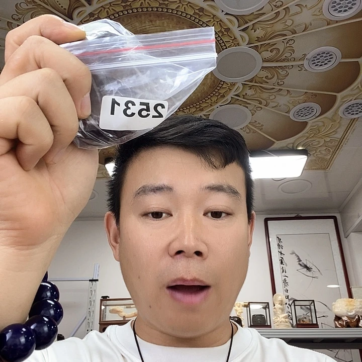 大叶紫檀（黑酸枝木类）2531