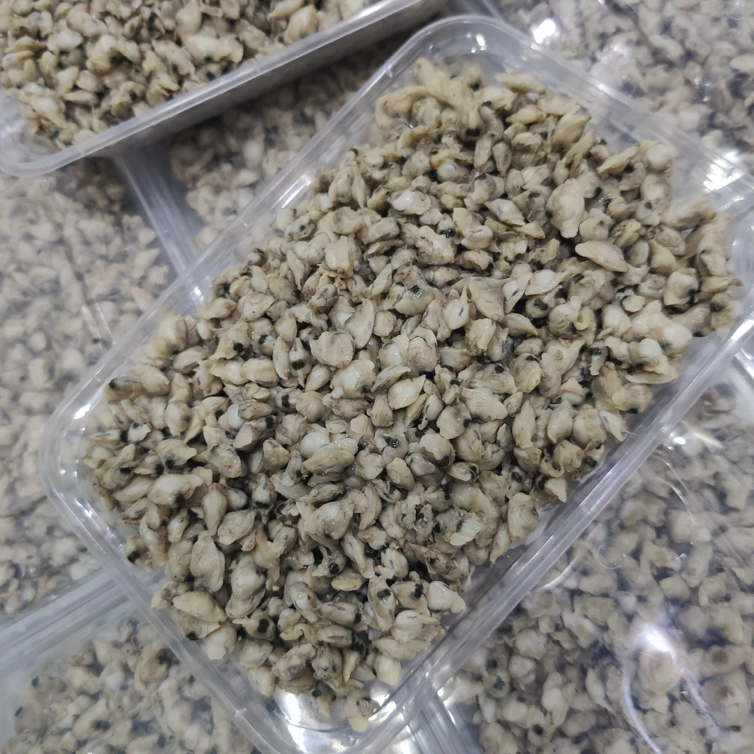 潮汕本港红肉米