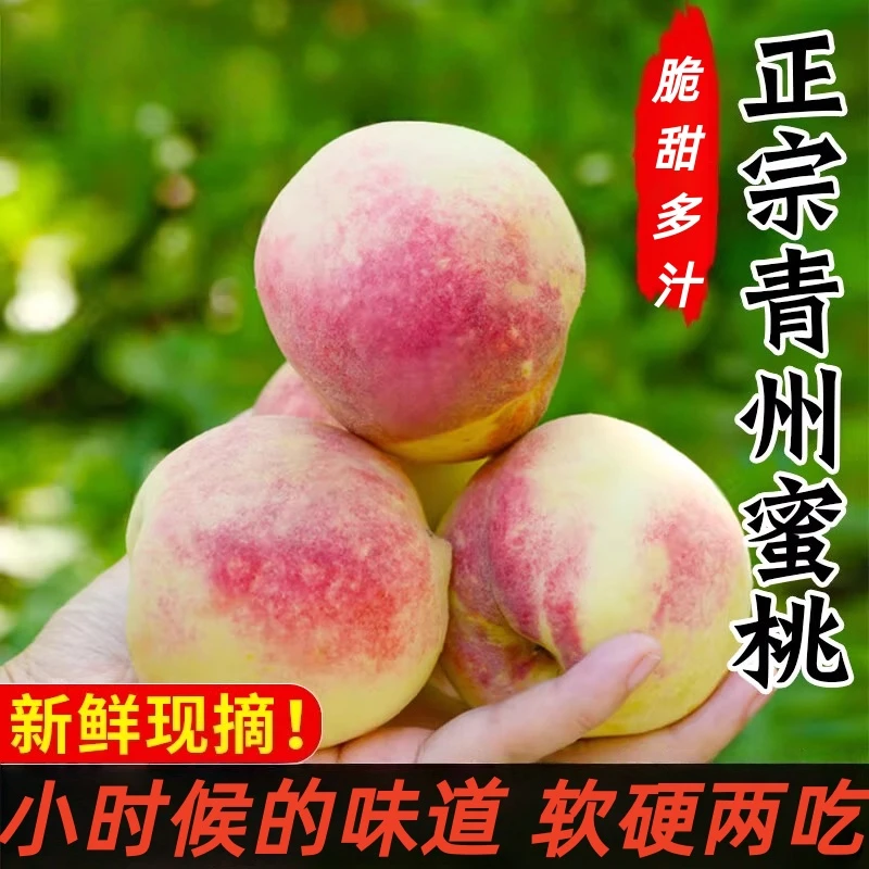 【顺丰包邮】青州蜜桃脆甜多汁毛桃小山桃新鲜当季水果冬桃老少适宜