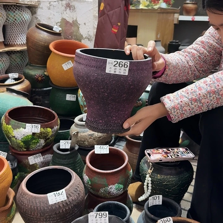 紫色鱼尾266高度20口径18