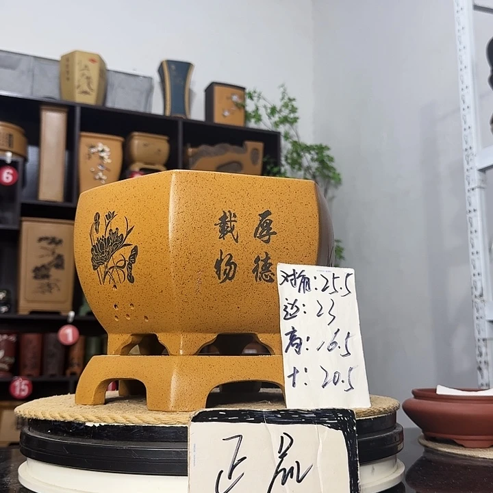 紫砂花盆盆友记紫砂