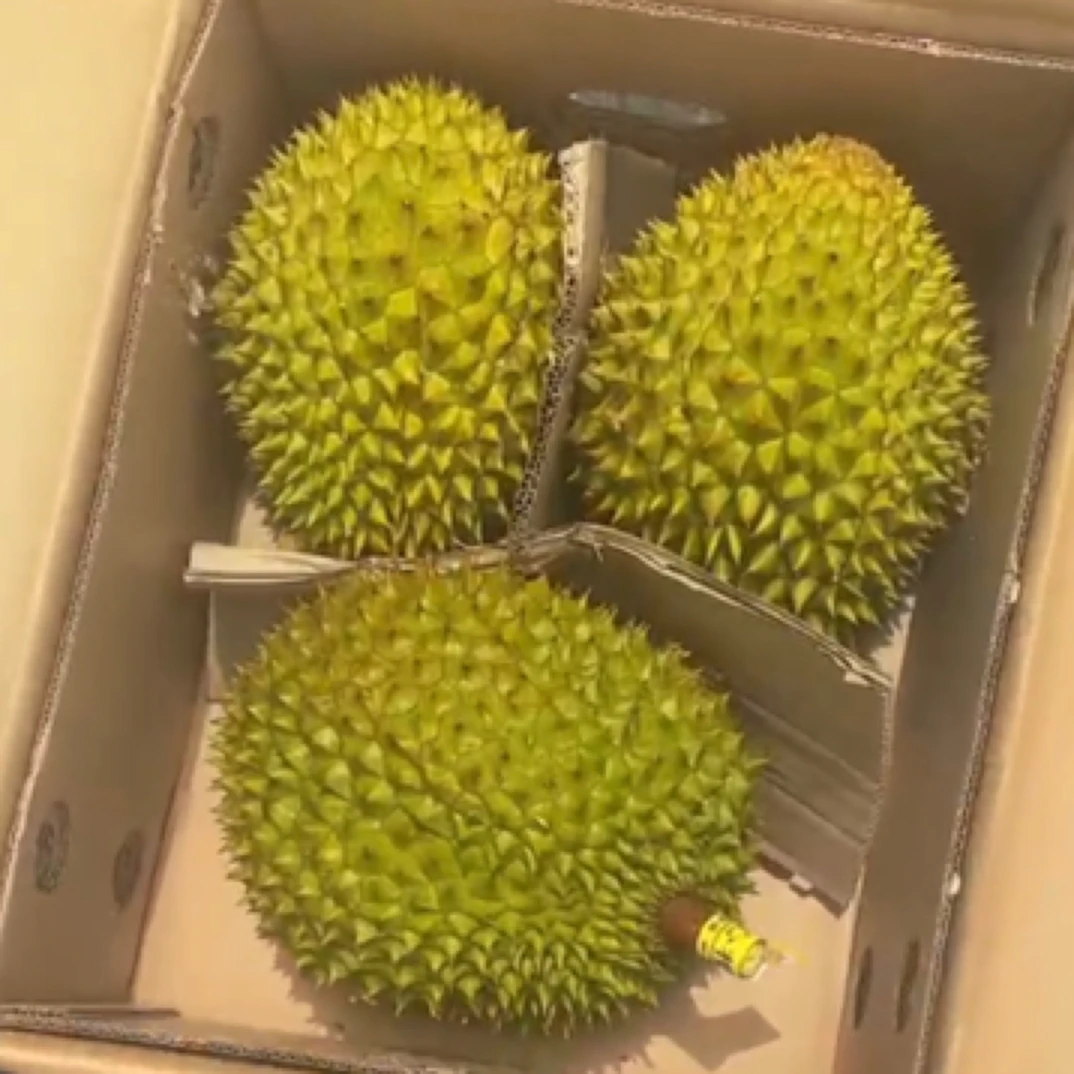 越南干尧新鲜鲜果榴莲/核大核小/一果一重同城配送到家干尧越南社会主义共和国