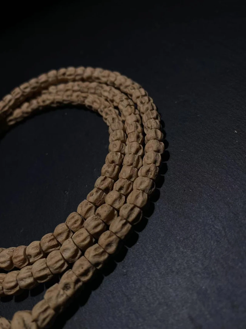 【暴龙】暴力龙脊狂魔