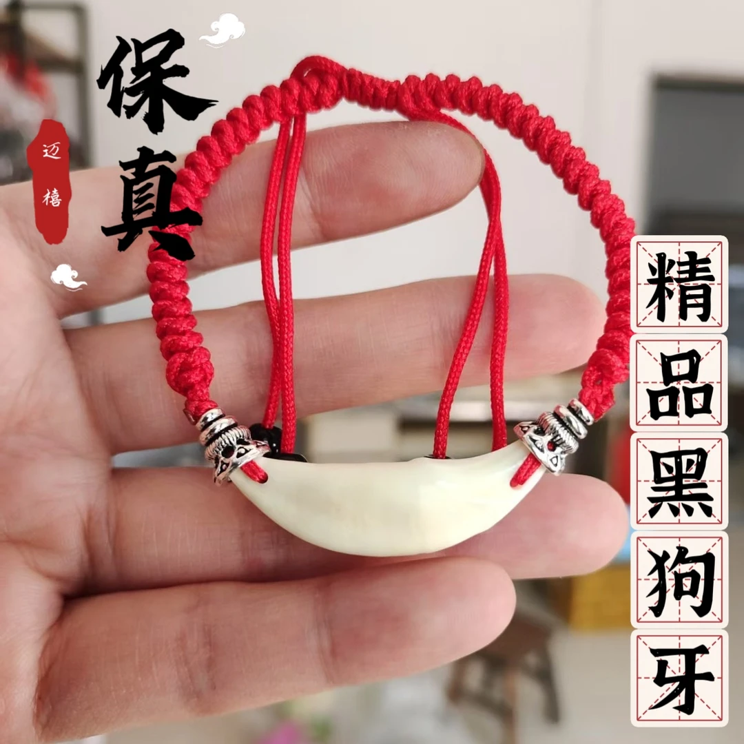 【成人款】正宗黑狗牙手绳成人本命随身手脚红绳手链
