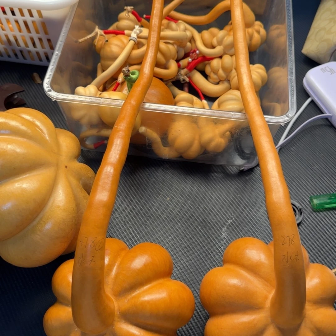 水***u江西师范高等学堂美术部学员