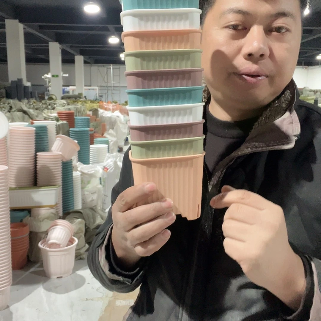 树脂10方混色10个无托