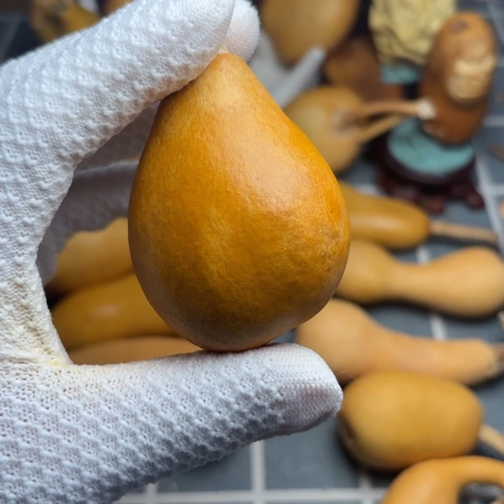 矛***体666666666666666666