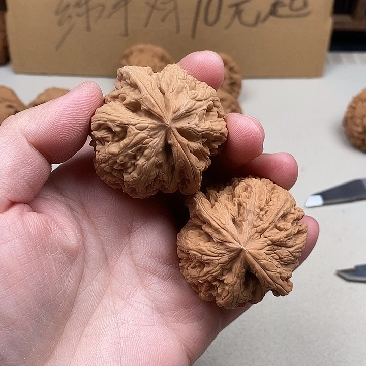 不***华龙脊菩提吊坠278.278.278.