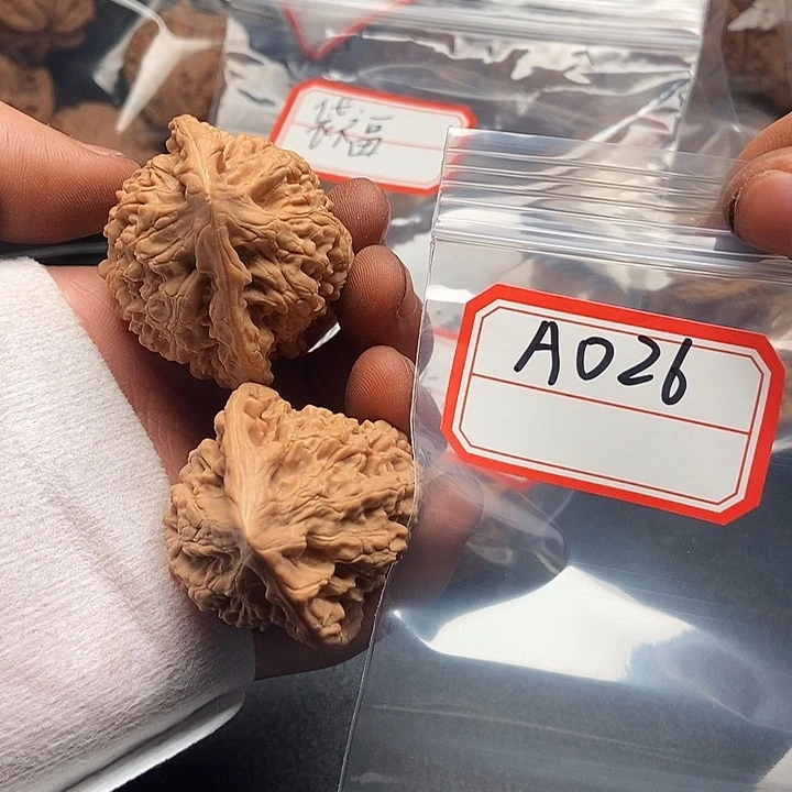 55555555555555555225555555