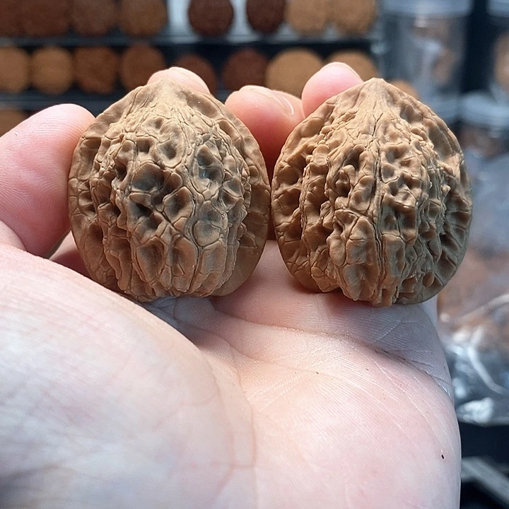 1文玩核桃蛇王37-279