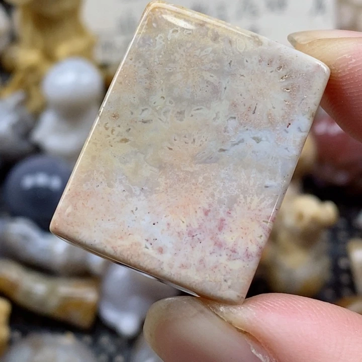 颈饰未镶嵌硅化珊瑚（珊瑚玉）小