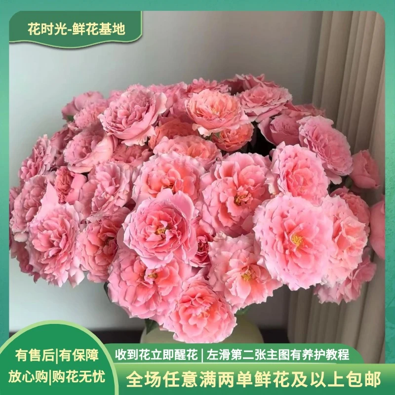 【粉色啦啦队】10枝多头玫瑰 基地直发|全场任意满两单鲜花包邮