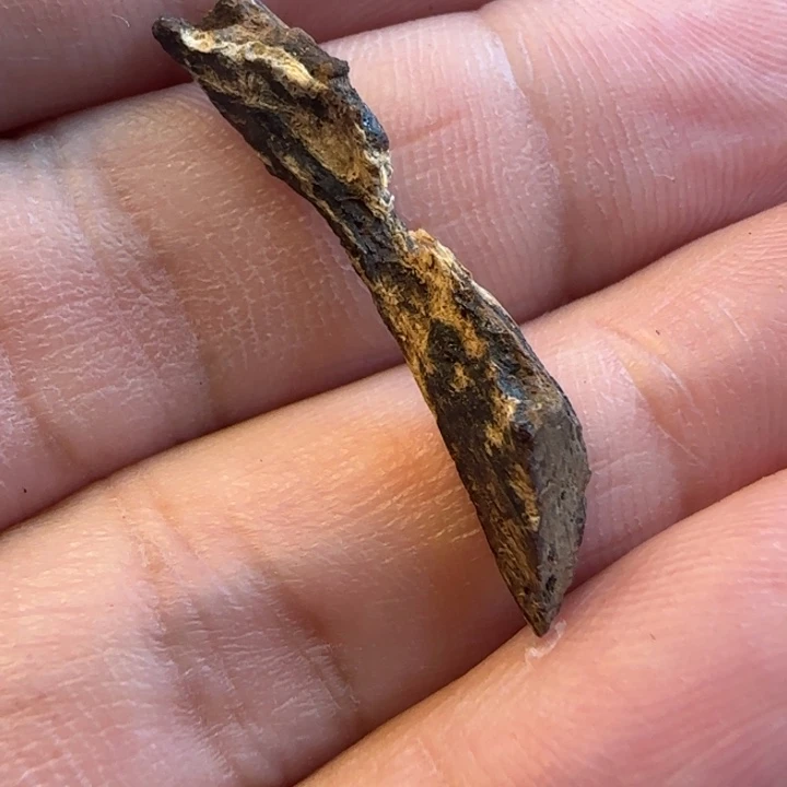 摆件沉香海南沉水树心油0.32克