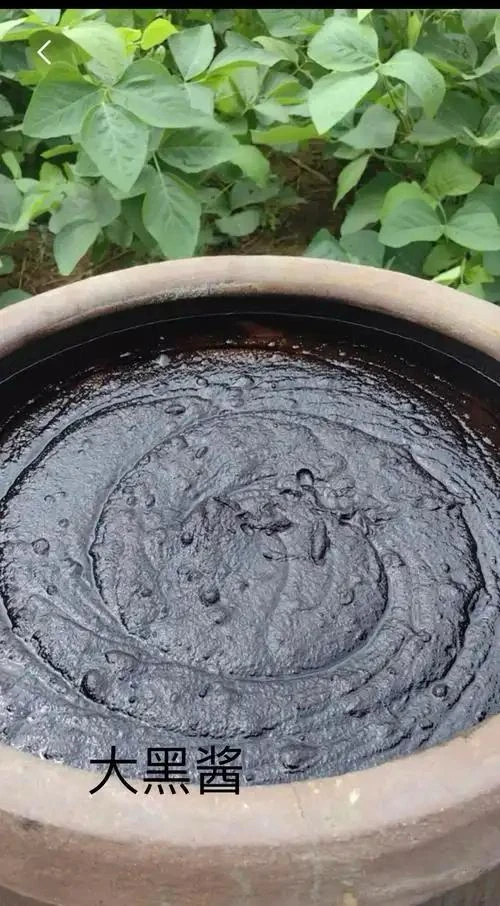 苏北盐阜特产天然缸晒大黑酱 家乡味