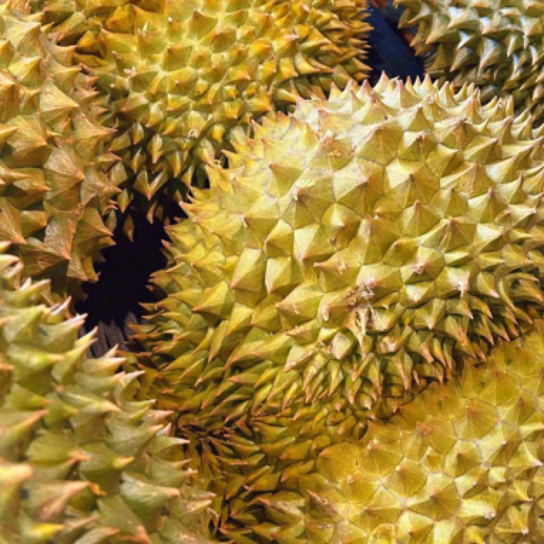 现剥泰国树熟金枕鲜榴莲果肉核小【鲜果现剥】1-2斤金枕泰国