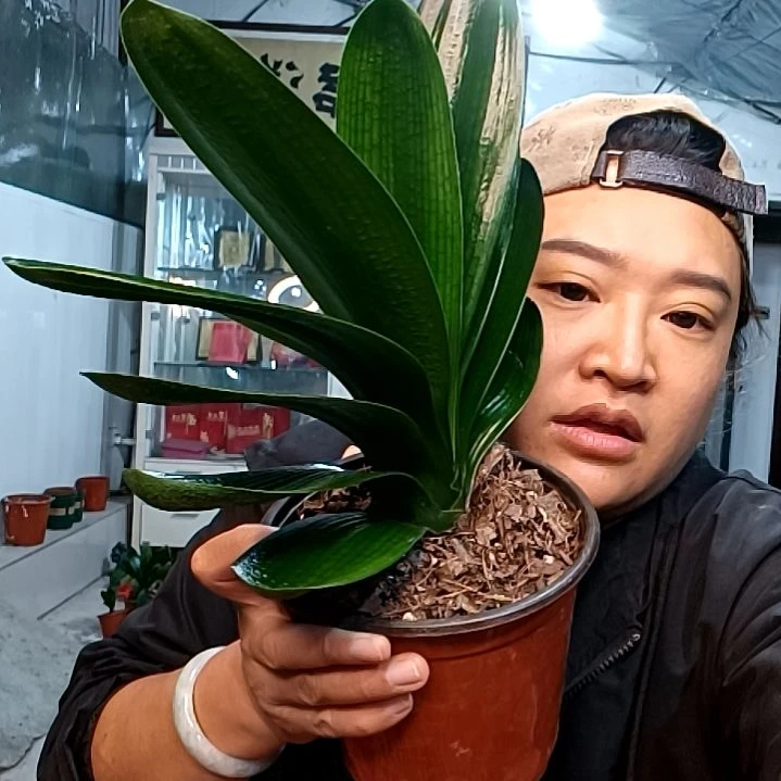 @郑利教练39一颗钢油